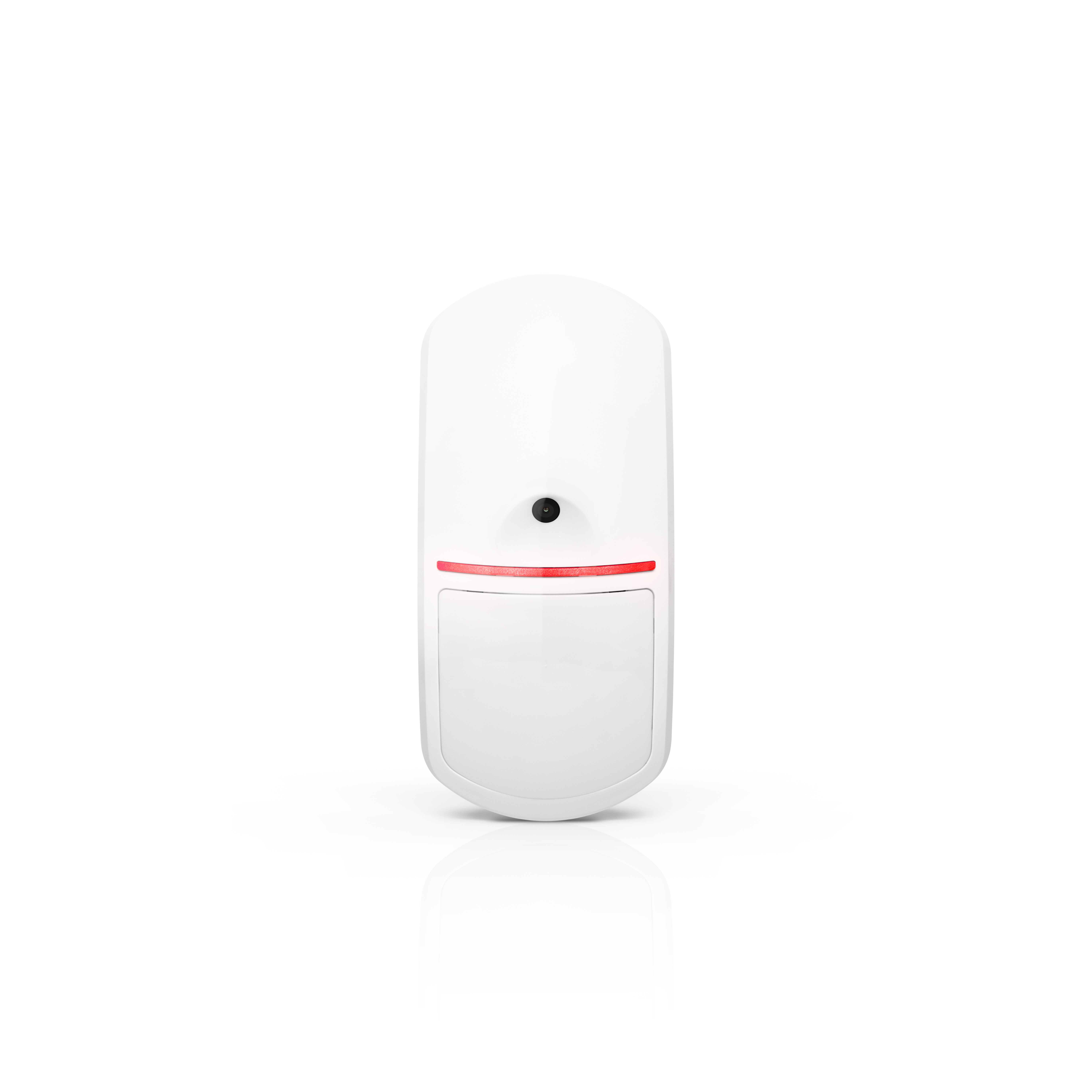 Motion Detector Cam