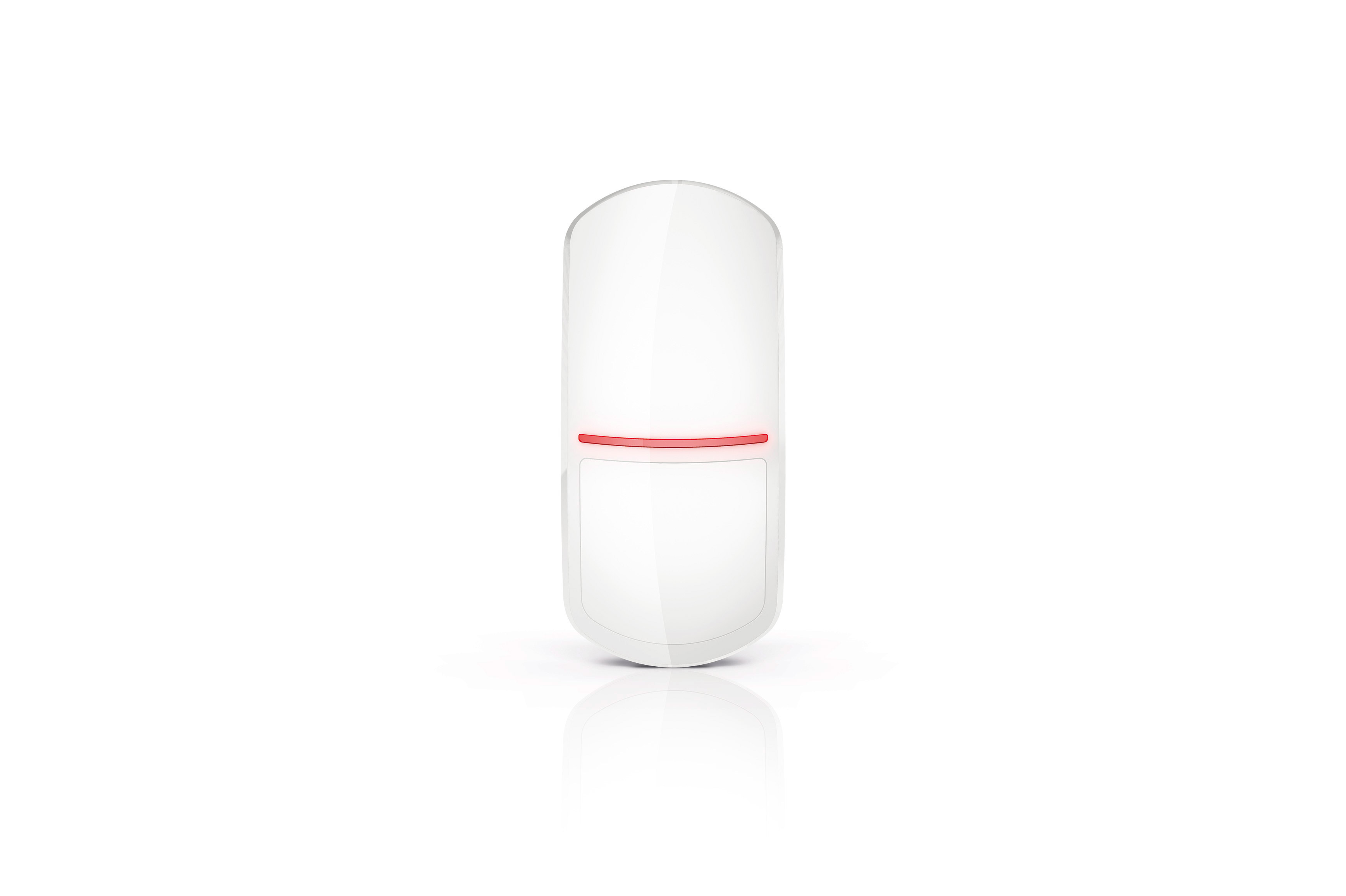 Motion Detector Pet