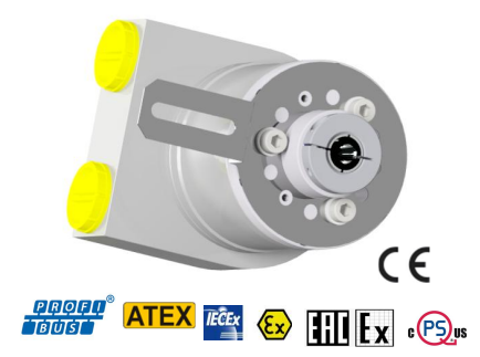 EXAG-H Dual Output Profibus/Incremental