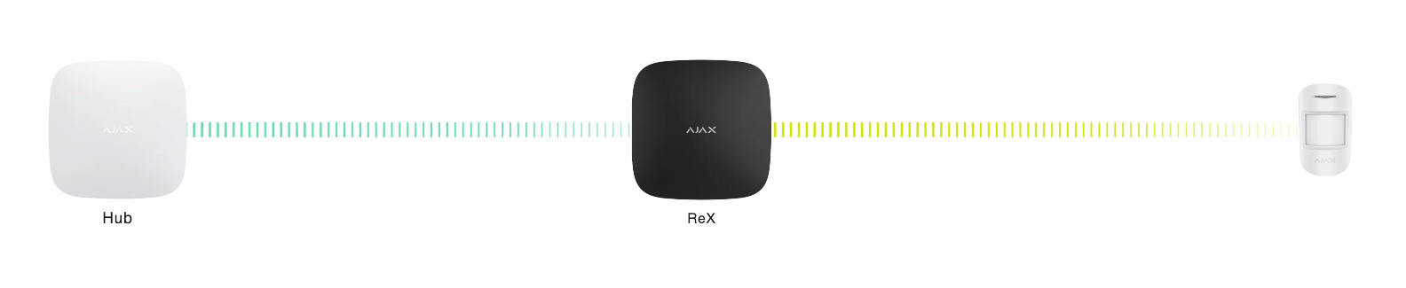 Rex